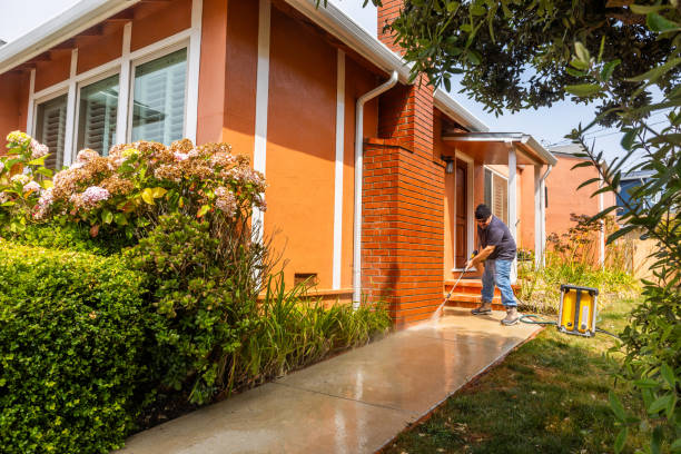 Best Local Pressure Washing Services  in Agler Beach, FL